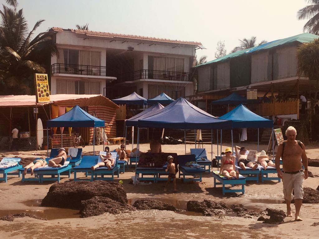 Boomerang Resort Mandrem Exterior foto