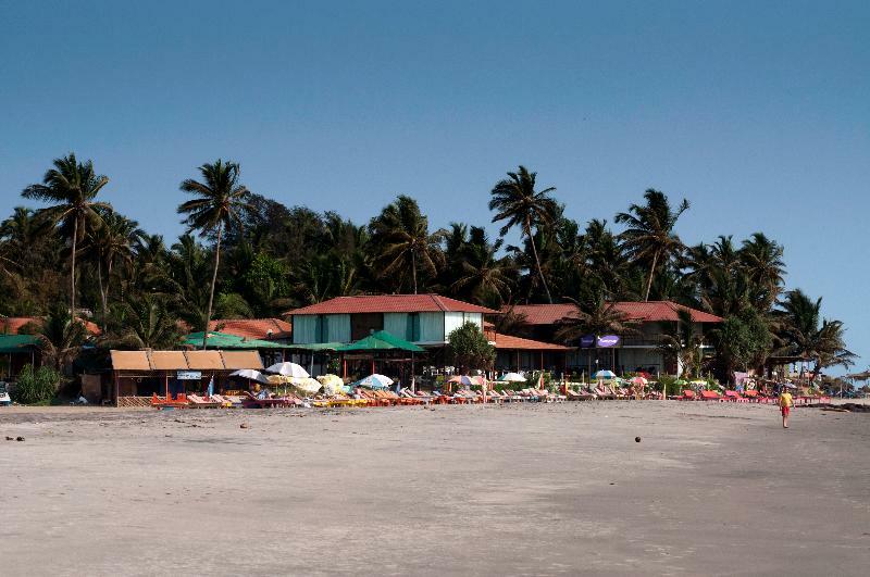 Boomerang Resort Mandrem Exterior foto